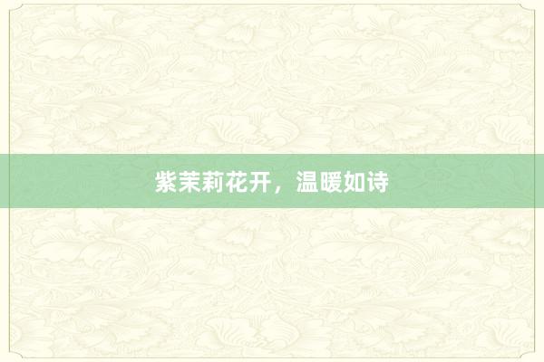 紫茉莉花开，温暖如诗