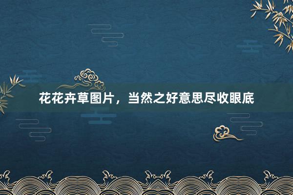 花花卉草图片，当然之好意思尽收眼底