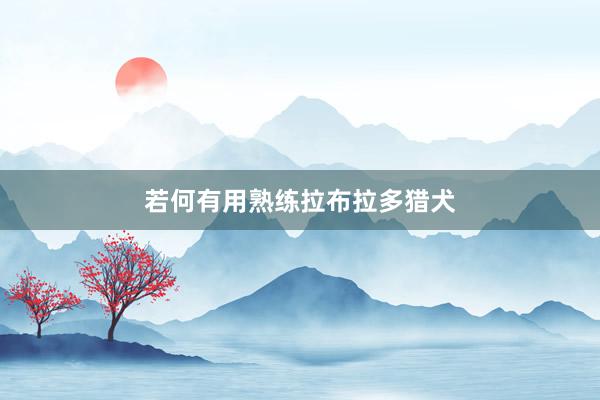 若何有用熟练拉布拉多猎犬